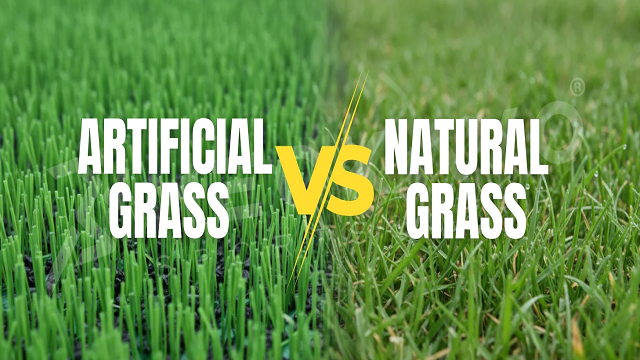 Artificial Grass vs. Natural Grass: Which Is Better for Your Landscape Needs?