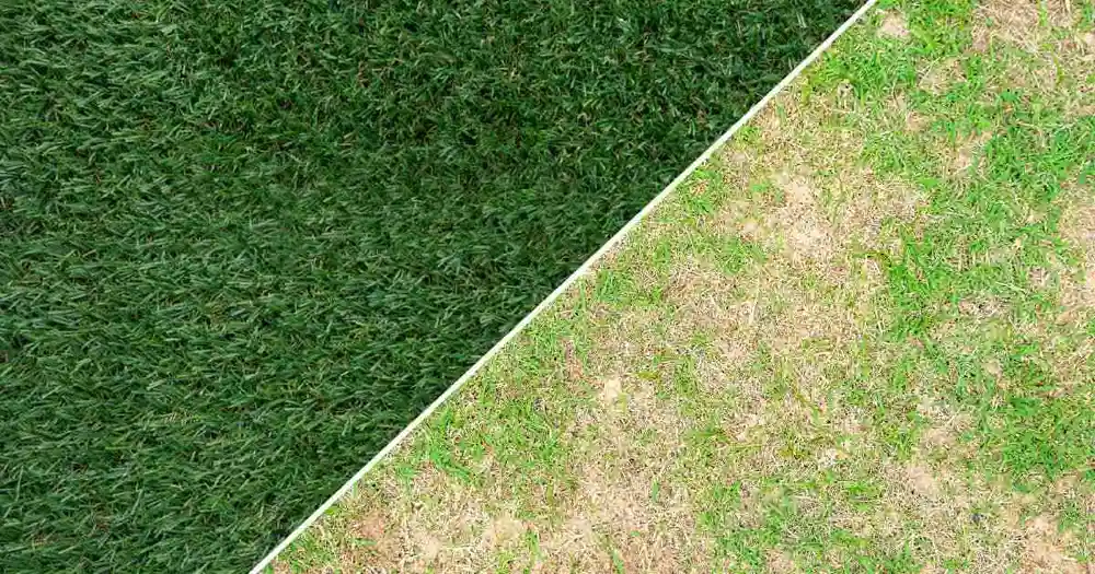 What Are the Main Benefits of Choosing Artificial Turf Over Natural Grass